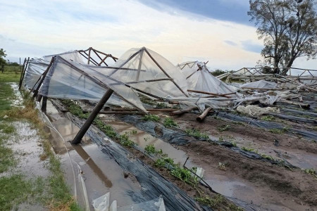 Lavalle: vientos y granizo destruyeron tendaleros